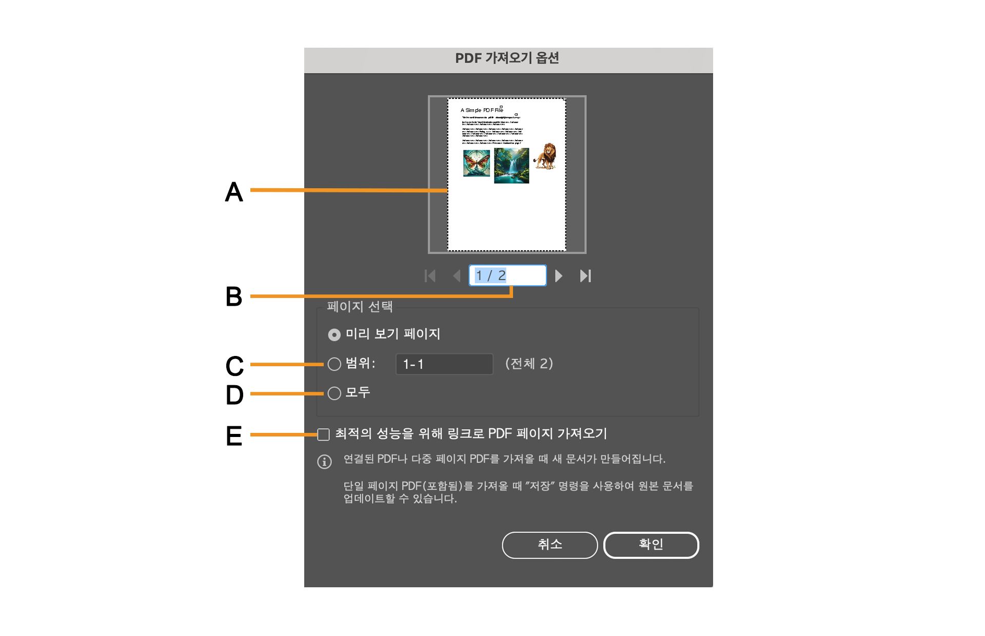 특정 페이지를 선택하는 옵션이 있는 PDF 가져오기 옵션 대화 상자입니다.