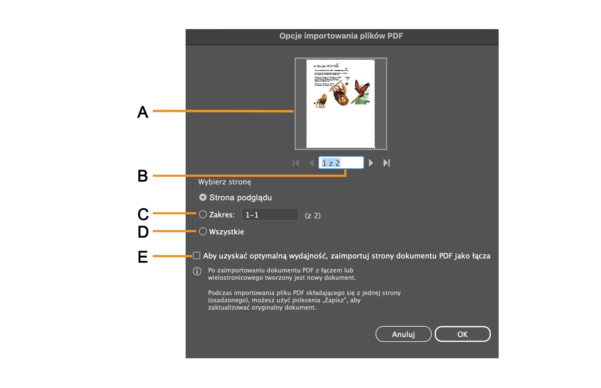 Okno dialogowe Opcje importu PDF z opcją wybrania określonych stron.