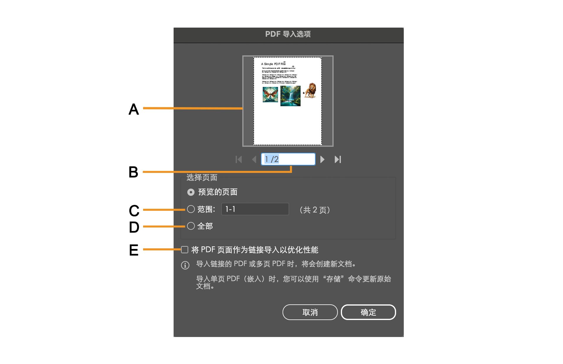 “PDF 导入选项”对话框，包含用于选择特定页面的选项。