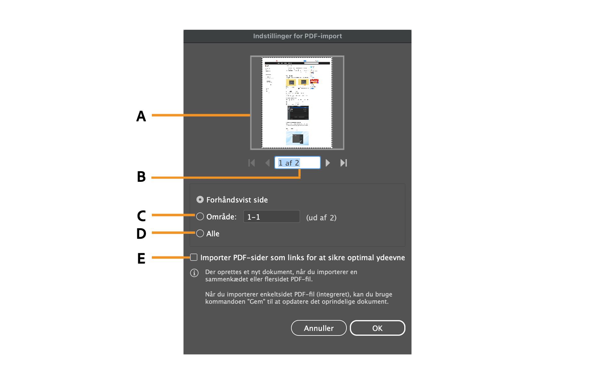 Dialogboksen Indstillinger for PDF-import med mulighed for at vælge bestemte sider.