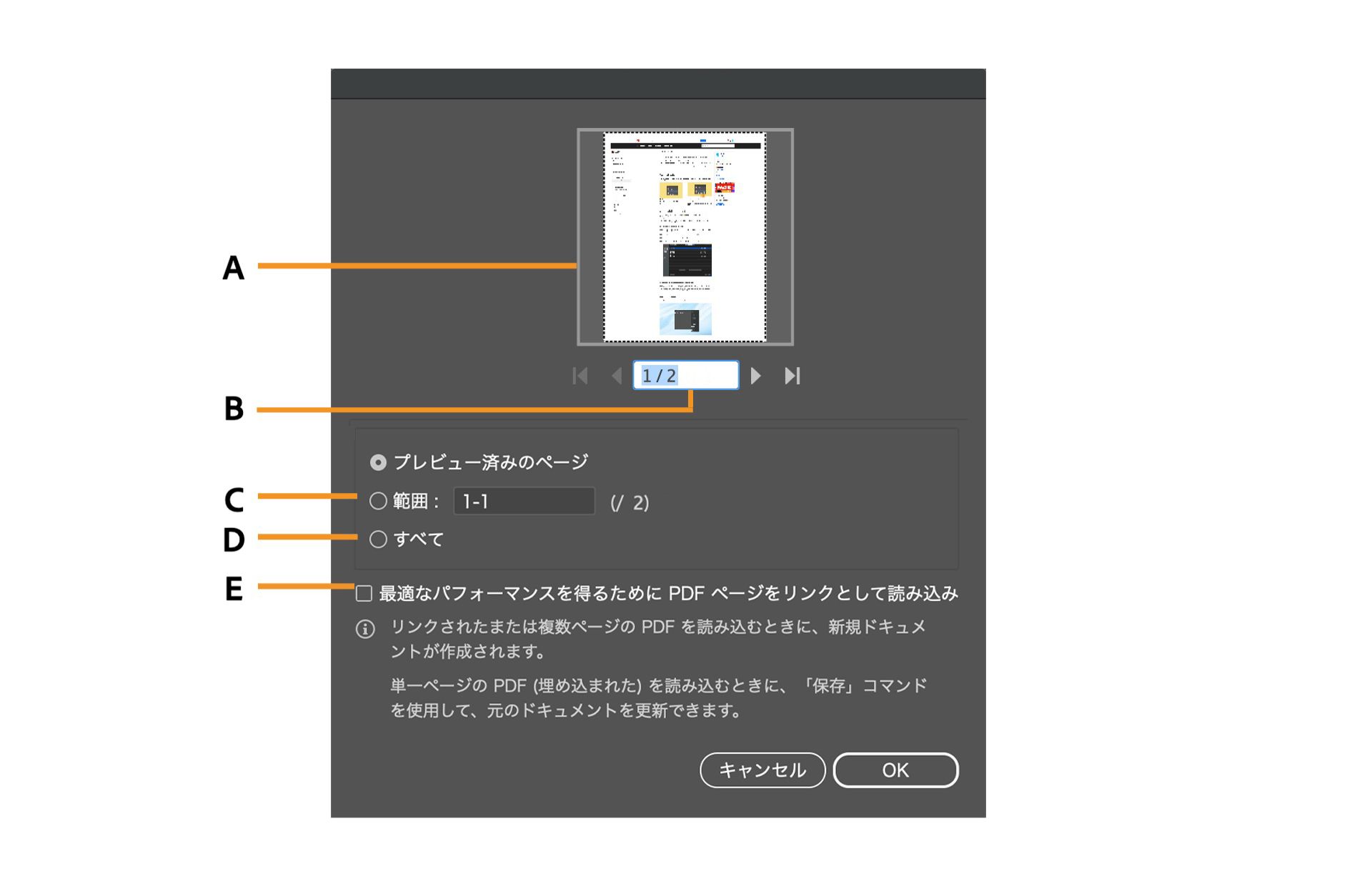 特定のページを選択するオプションが表示されている PDF 読み込みオプションダイアログ。