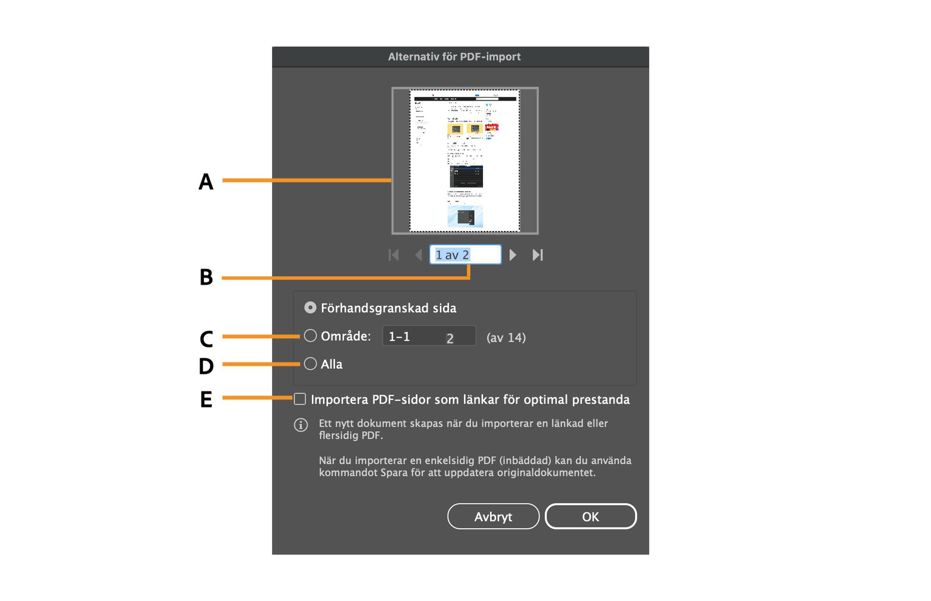 Dialogrutan Alternativ för PDF-import med alternativ för att välja specifika sidor.