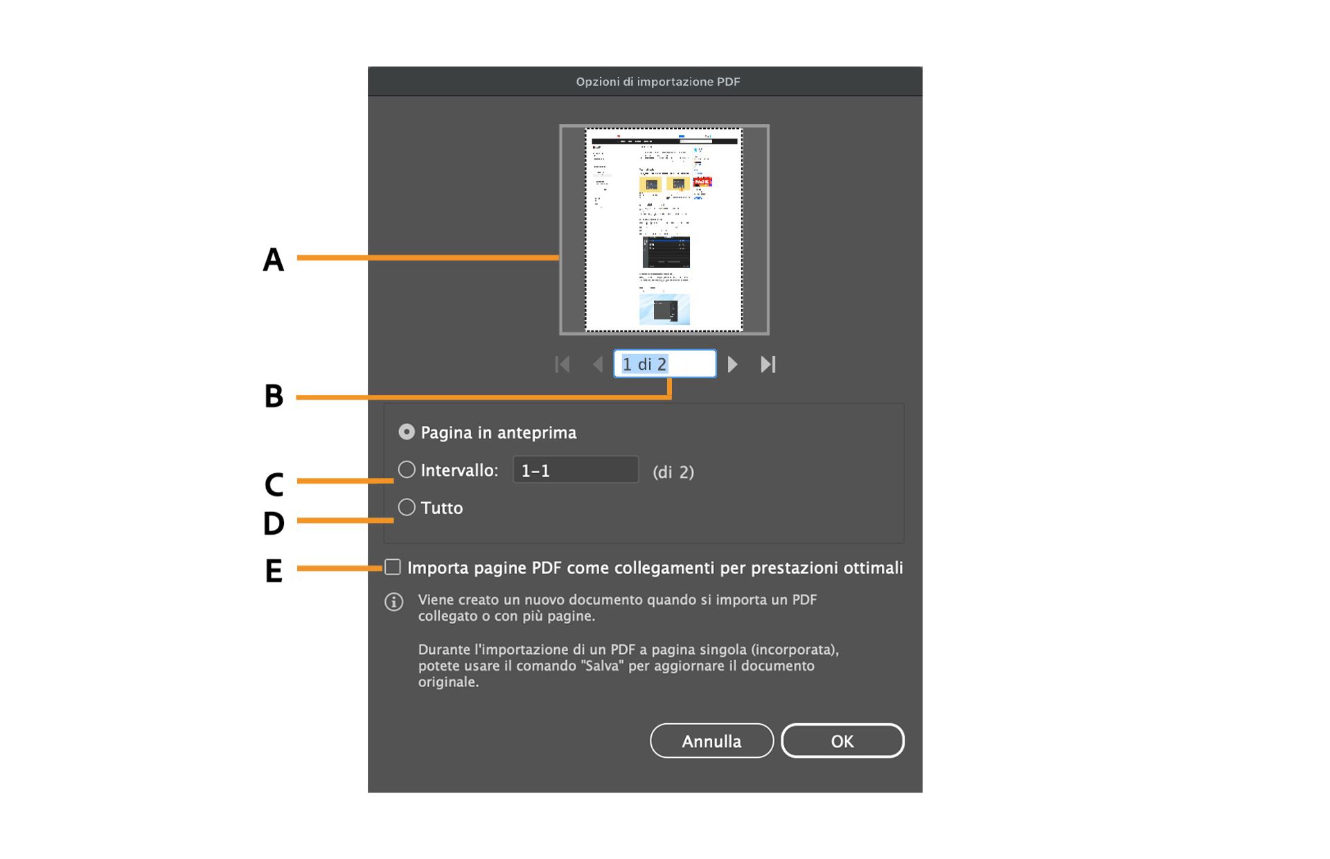 Finestra di dialogo Opzioni di importazione PDF con le opzioni per selezionare pagine specifiche.