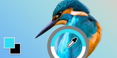 Инструмент «Пипетка» в Photoshop
