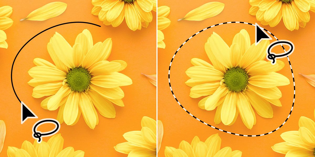 Photoshop Lasso Tool