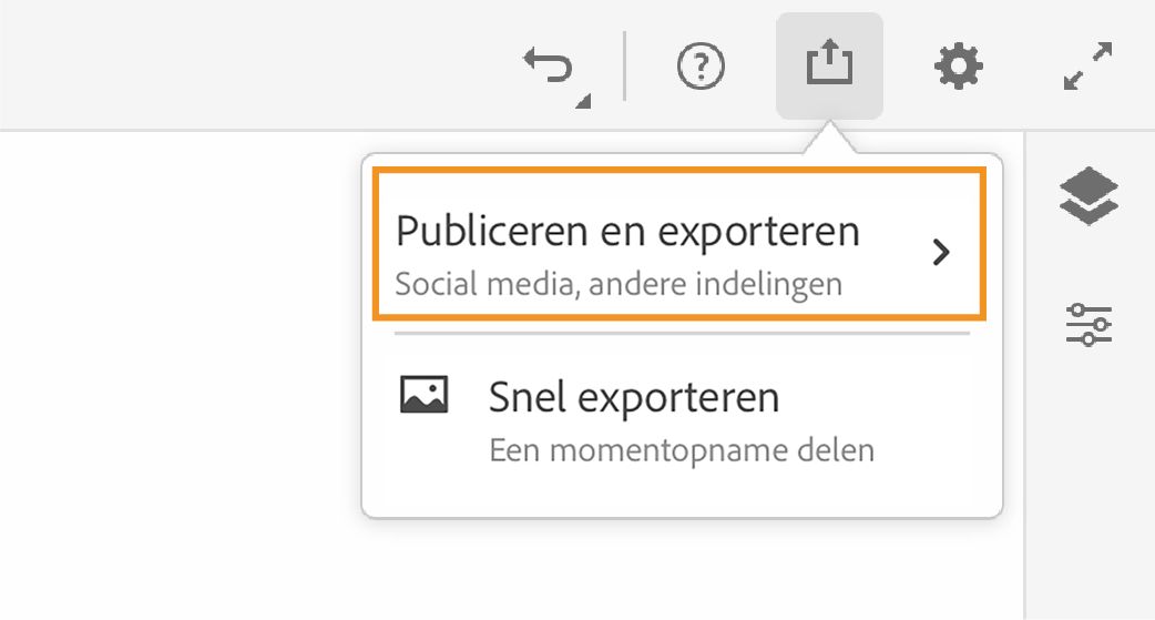 Optie Publiceren en exporteren