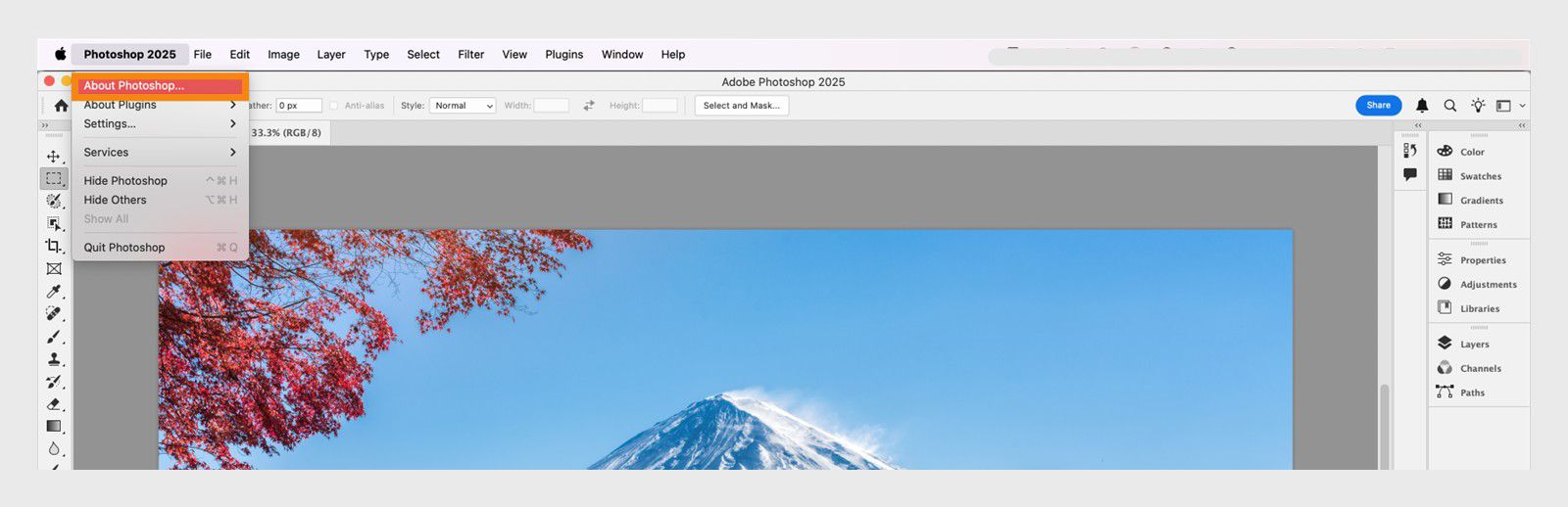 Nupp „Teave“ rakenduse menüüs menüüribal võimaldab teil vaadata oma Creative Cloud rakenduse ja järgu üksikasju.