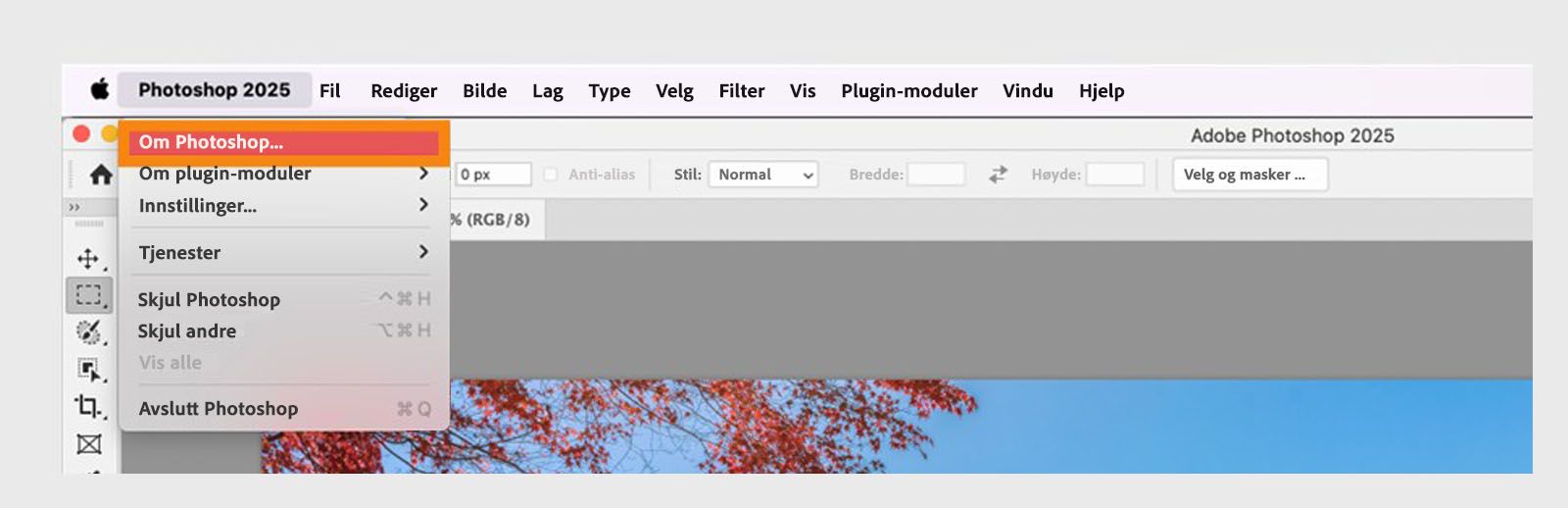 Om-knappen under appmenyen i menylinjen lar deg se app- og byggdetaljer for Creative Cloud-appene dine.