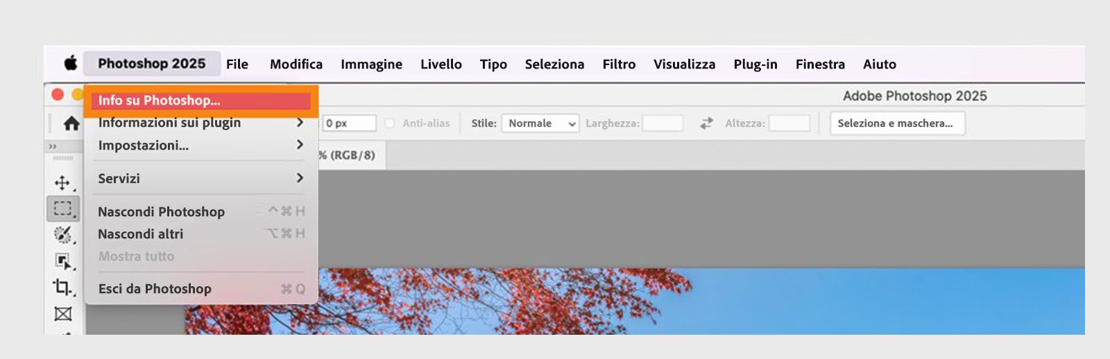 Il pulsante Informazioni nel menu dell'Applicazione nella barra dei menu consente di visualizzare i dettagli dell'Applicazione e della generazione delle tue Applicazioni Creative Cloud.