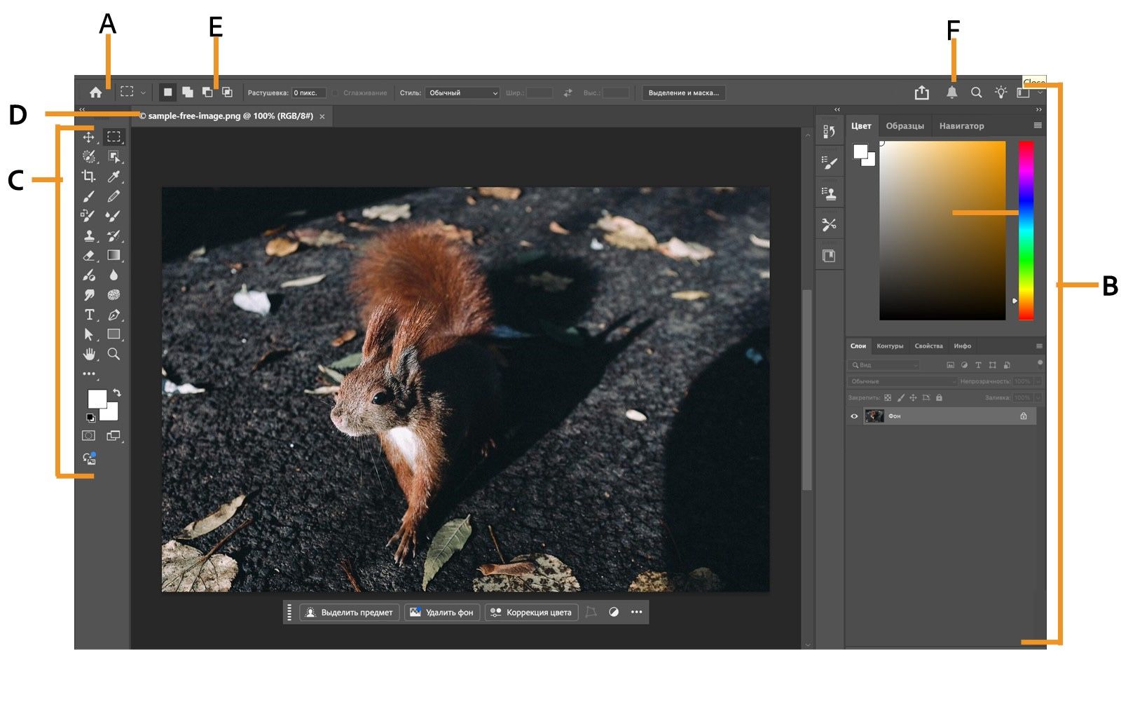 Рабочая среда Photoshop с ключевыми элементами интерфейса, такими как панель приложения, панели, панель инструментов, окно документа, панель «Параметры» и значок уведомлений.