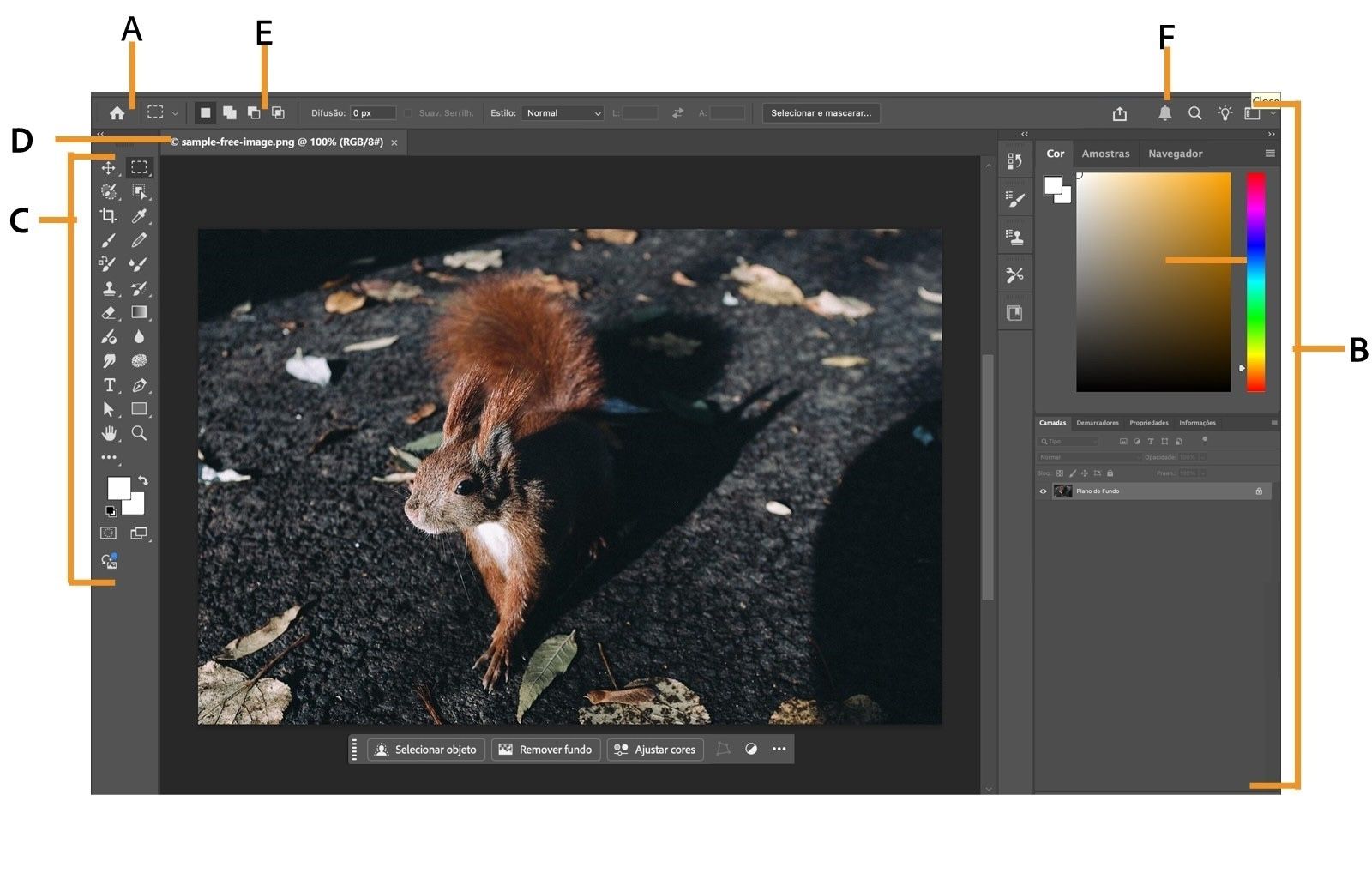 O espaço de trabalho do Photoshop inclui elementos-chave como a barra de aplicativos, painéis, painel de ferramentas, janela do documento, barra Opções e ícone de notificações.