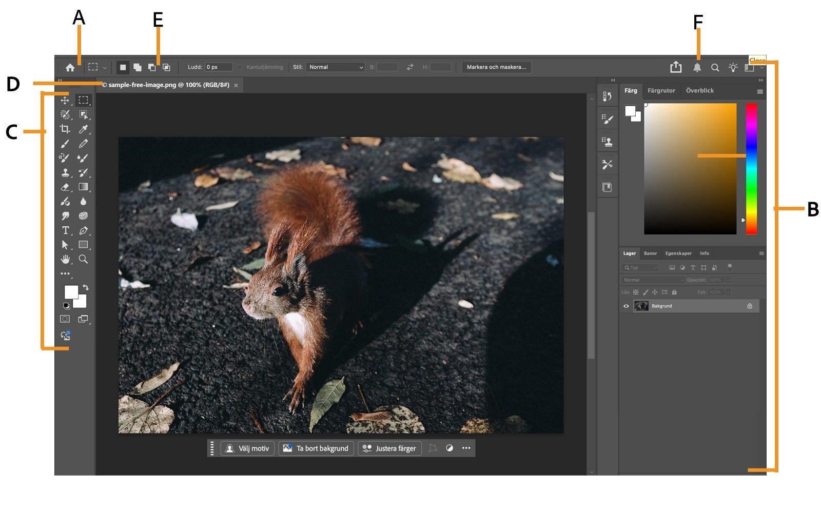 Photoshop arbetsyta med viktiga gränssnittselement som programfält, panels, tools panel, dokumentfönster, options bar och klockikon.