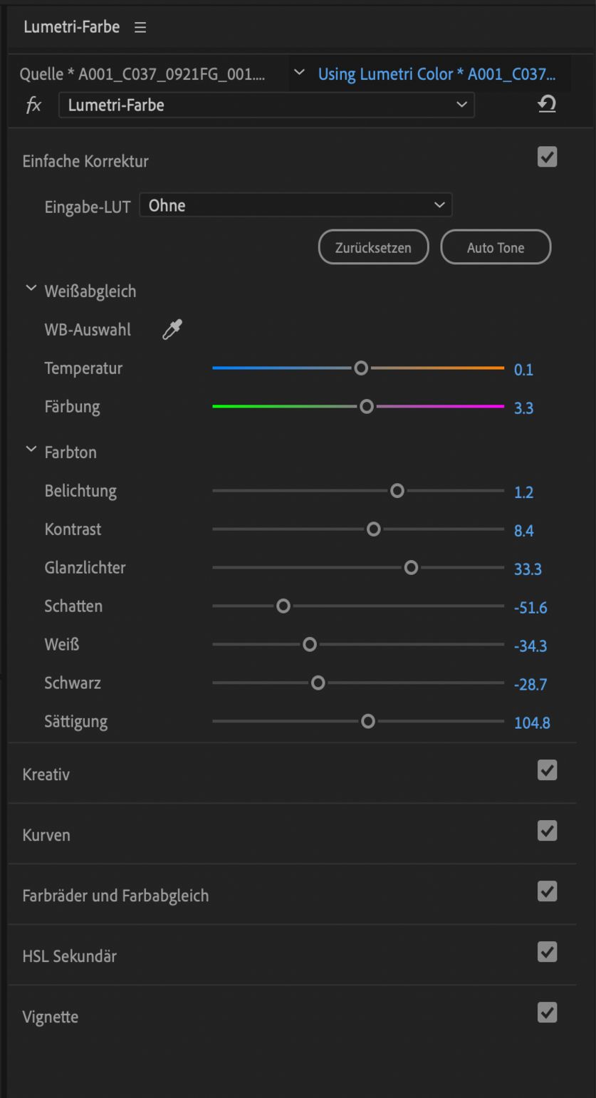 Automatische Farbtonkorrektur im Bedienfeld „Lumetri-Farben“