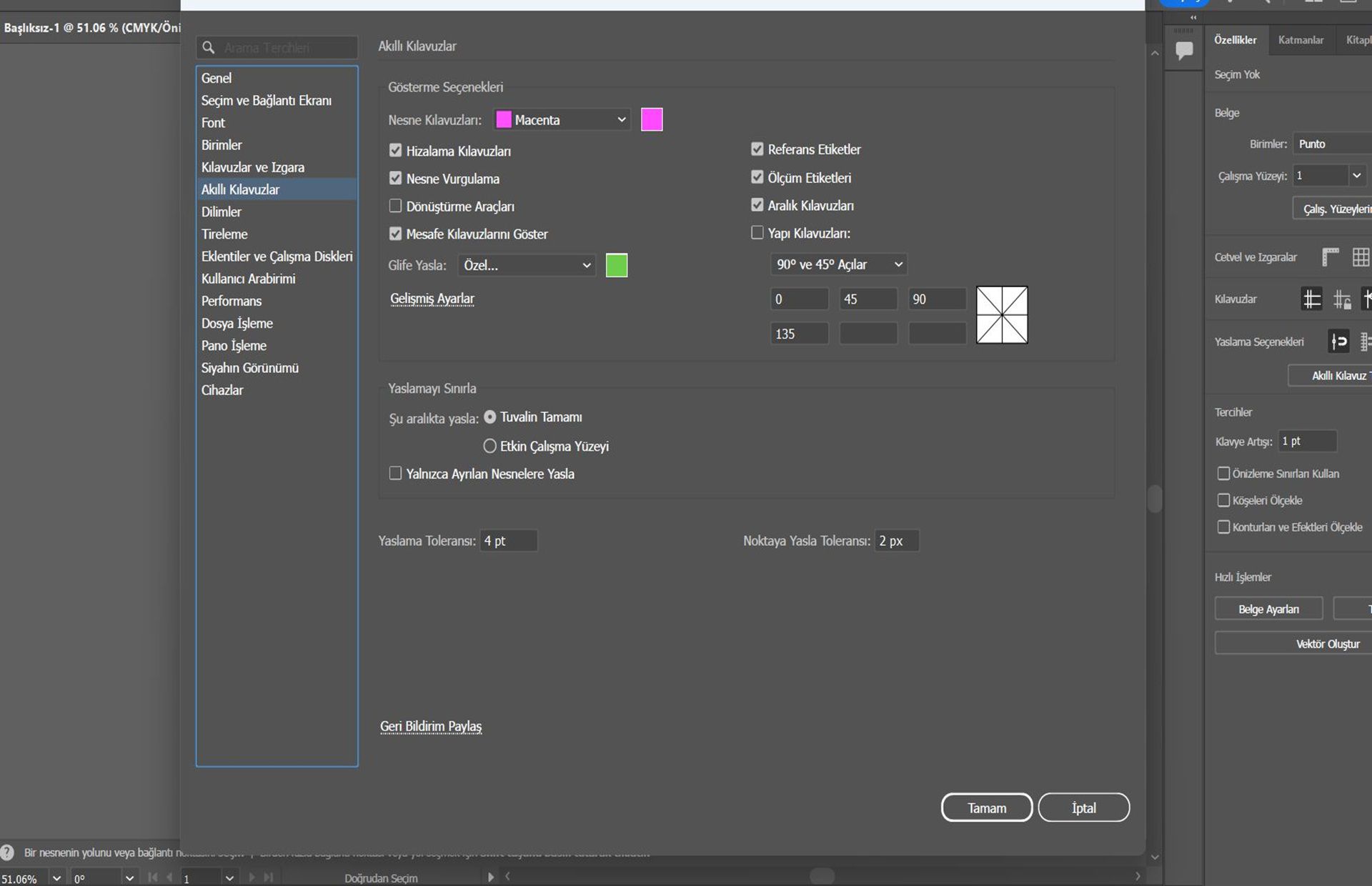 Akıllı Kılavuzlar sekmesi seçili olan Tercihler iletişim kutusu.