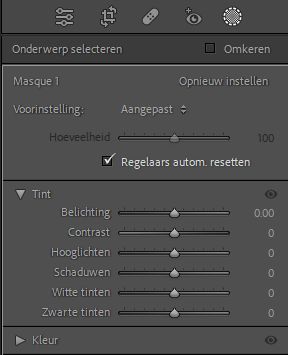 gesegmenteerde-deelvensters-maskeren