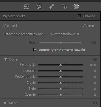 segmented-panels-masking