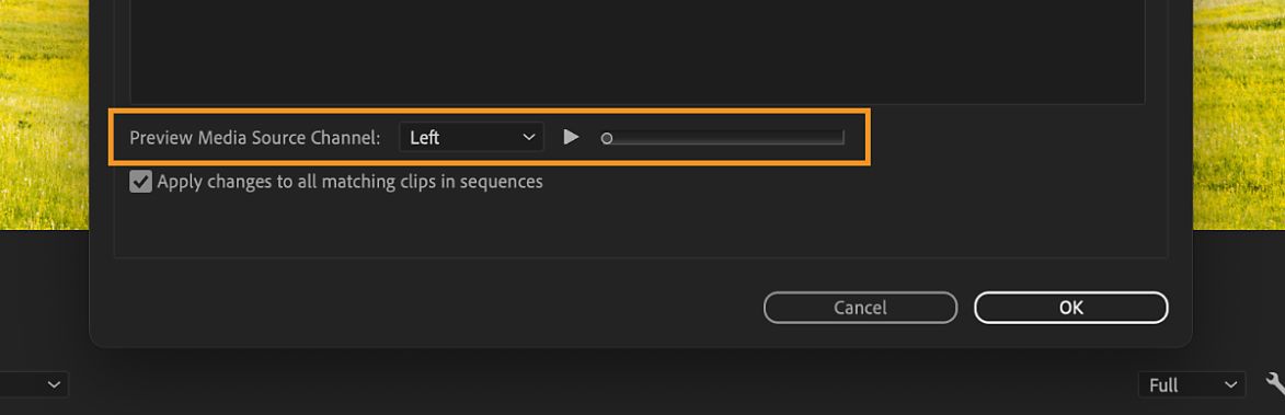 Sección Preview Media Source Channel con el canal izquierdo seleccionado y el control deslizante de reproducción visible.