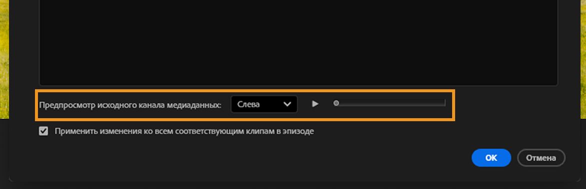 Раздел «Предварительный просмотр канала источника медиа» с выбранным левым каналом и видимым ползунком воспроизведения.