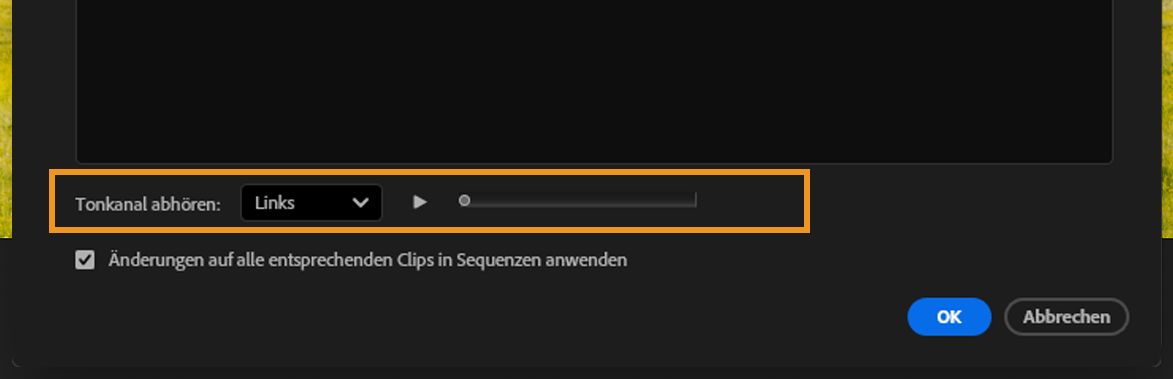Abschnitt „Vorschau des Medienquellkanals anzeigen“ mit ausgewähltem linken Kanal und sichtbarem Wiedergabeschieberegler.