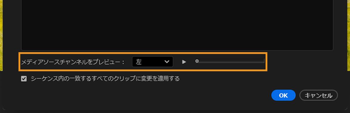 左チャンネルが選択され、再生スライダーが表示されている、「メディアソースチャンネルをプレビュー」セクション。