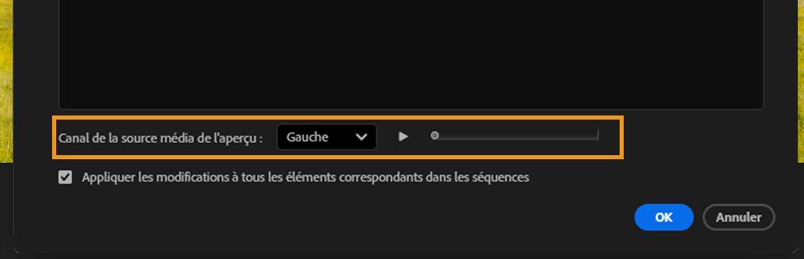 Section Aperçu du canal source des médias avec le canal gauche sélectionné et le curseur de lecture visible.