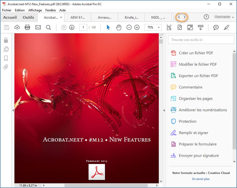 Vue Document à onglets pour l’affichage de plusieurs fichiers PDF