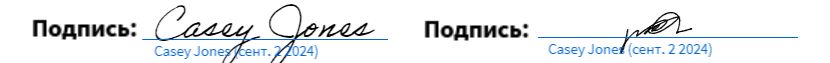 Примеры типов текстовых и рукописных подписей с синей линией и печатным текстом под ними.