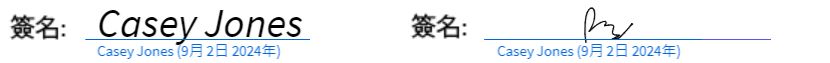 「輸入」與「繪製」的簽名類型範例，下方有藍色線條與列印文字。