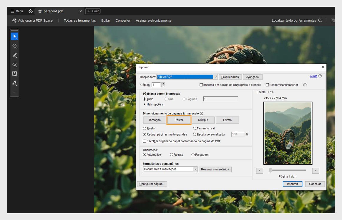Caixa de diálogo de impressão no Acrobat com a opção Pôster selecionada para dividir um PDF largo em várias páginas para impressão em grande formato.