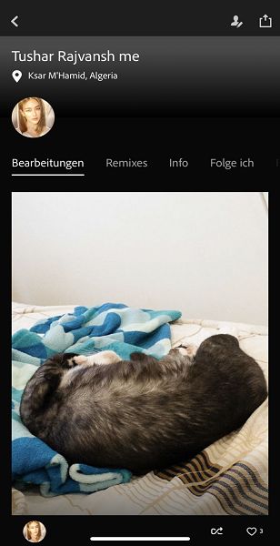 Screenshot einer Benutzerprofilseite