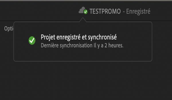 Info-bulle de l’icône en forme de nuage qui indique que les dernières modifications dans Team Projects sont enregistrées et synchronisées.