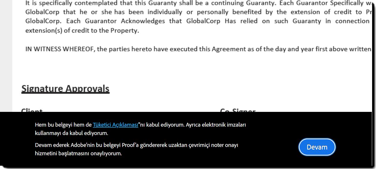 Alan doldurma aşaması için Proof alt bilgisi