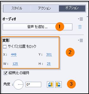 「オプション」タブのプロパティ