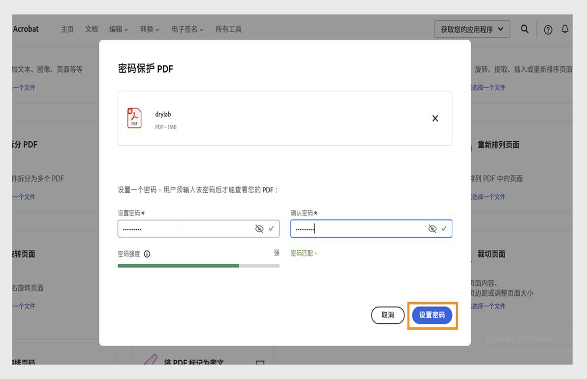 “保护 PDF”对话框显示“设置密码”和“确认密码”字段。突出显示“设置密码”按钮。