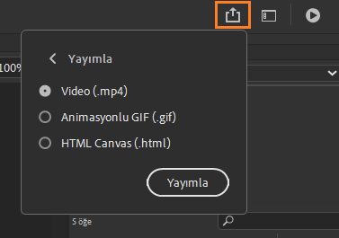 Hızlı Yayımlama Paneli