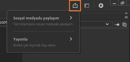 Hızlı Paylaşma ve Yayımlama Paneli