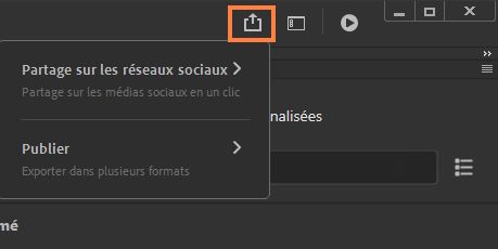 Panneau Partage et publication rapides