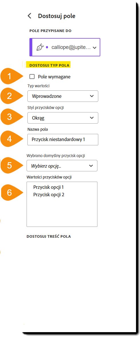 Widok menu dostosowywania pola z podświetloną sekcją Niestandardowy typ pola.