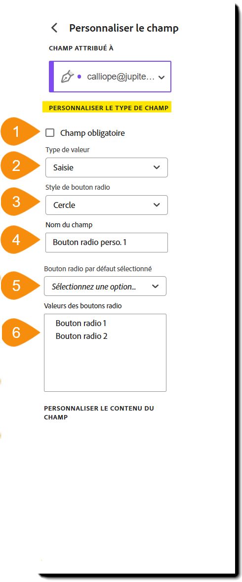 Vue du menu de personnalisation du champ avec la section Personnaliser le type de champ mise en surbrillance.