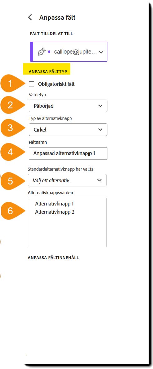 Vy av menyn för fältanpassning med avsnittet Anpassningsbar fälttyp markerat.