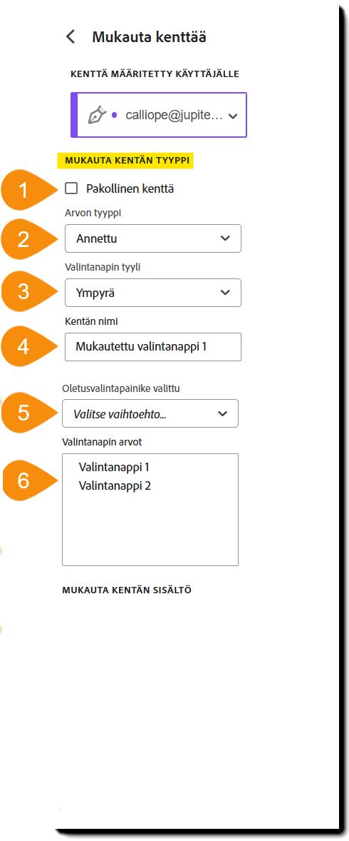 Kentän mukautusvalikon näkymä, jossa Mukautettava kenttätyyppi -osio on korostettuna.
