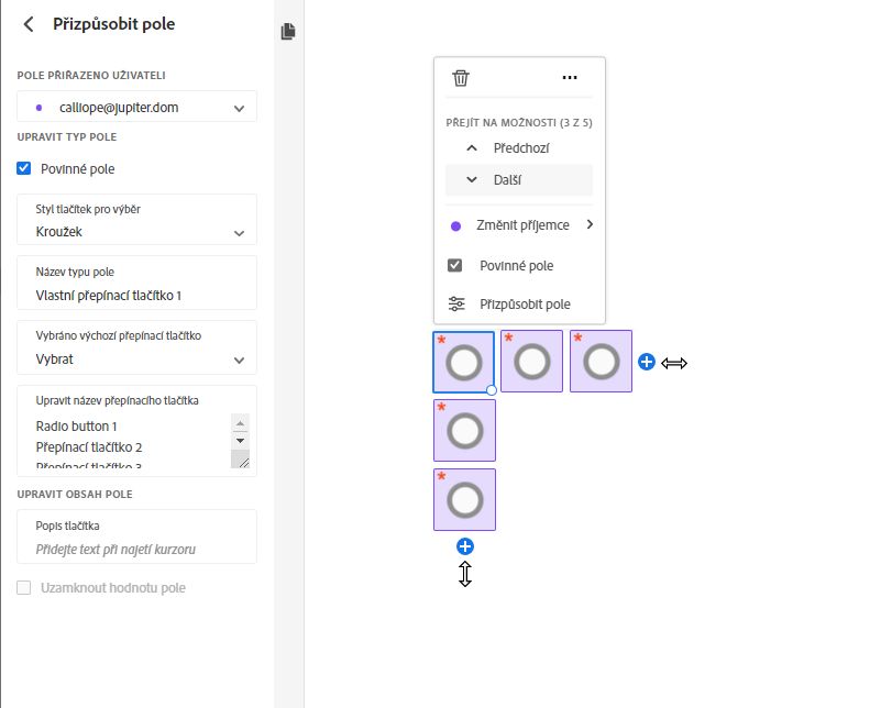 Pole przycisku opcji