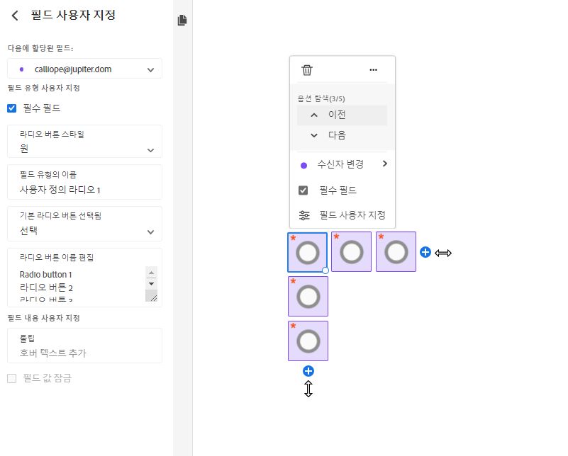 라디오 버튼 필드