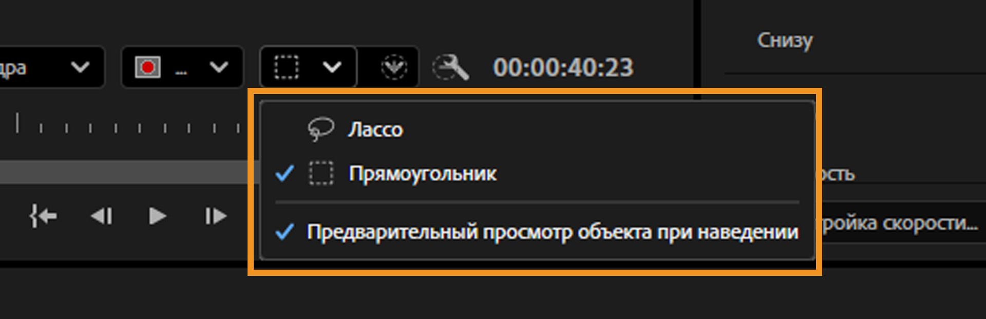 Для выбора объектов выделены инструменты «Прямоугольник» и «Лассо». Предварительный просмотр при наведении включен для более быстрого и точного выбора в Программном мониторе.