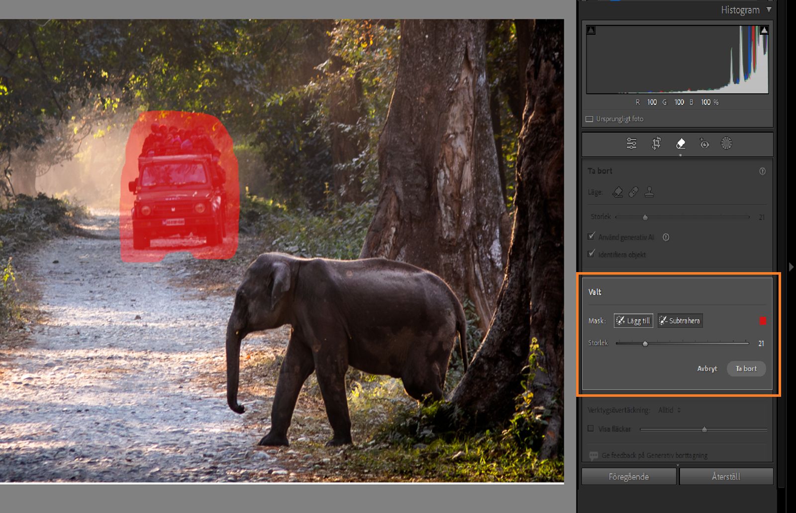 Markering av finjustering av Generativ borttagning