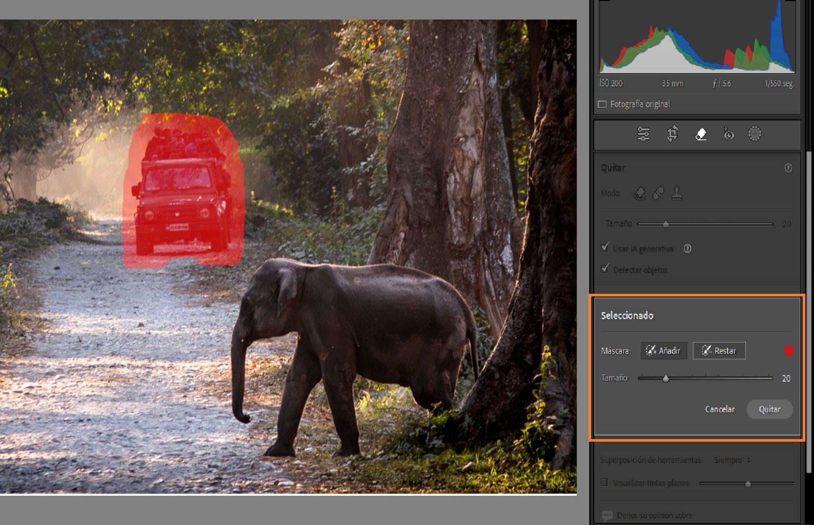 Resaltado del ajuste de Eliminación generativa