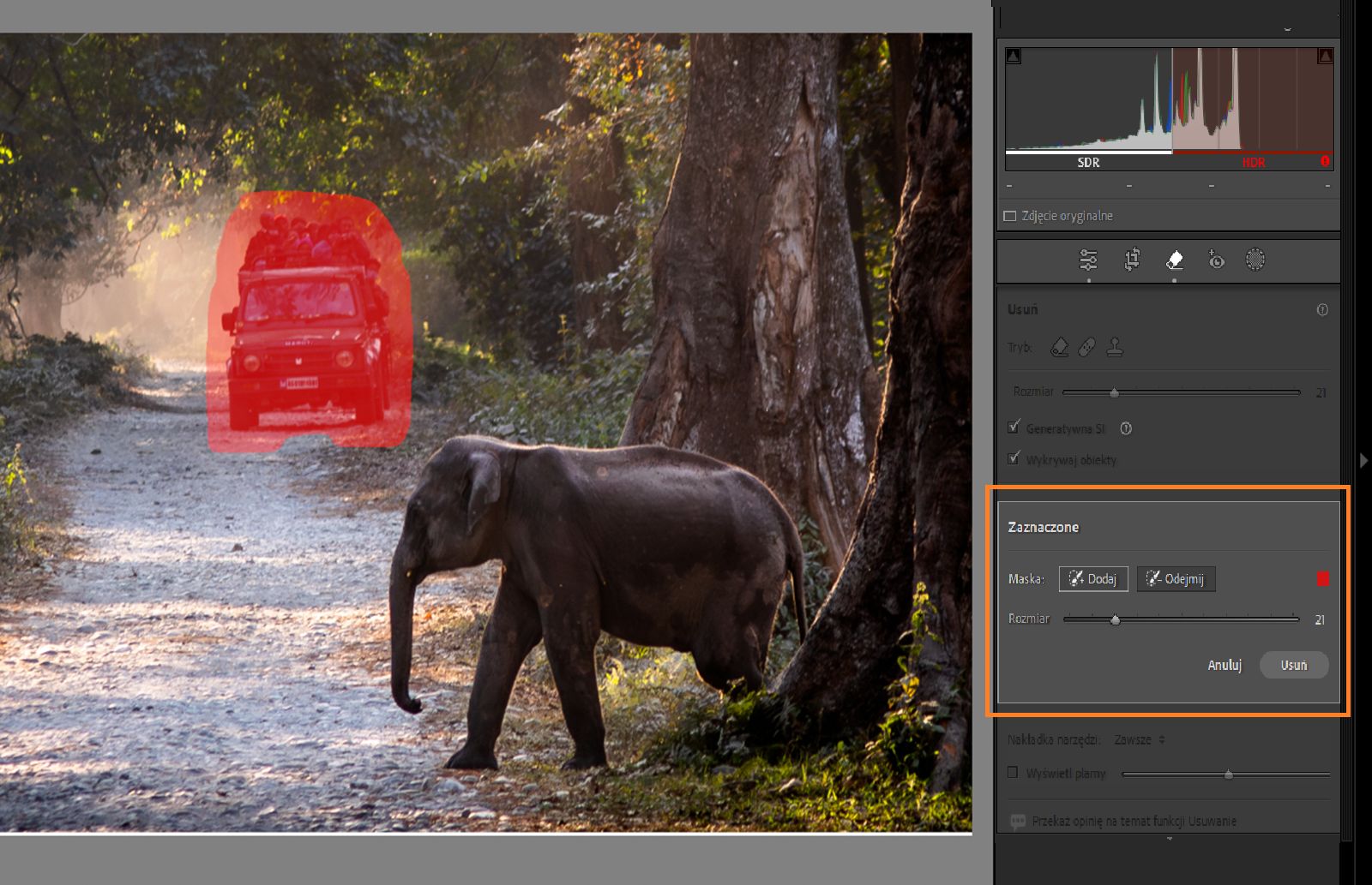 Wyróżnienie poprawki w ramach funkcji usuwania generatywnego