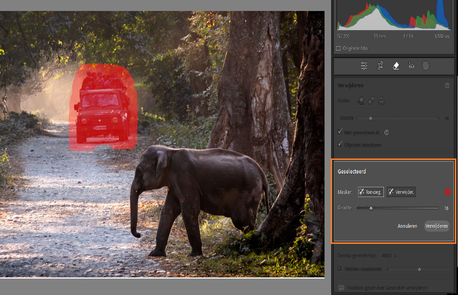 Detailweergave van verfijning van generatieve verwijdering
