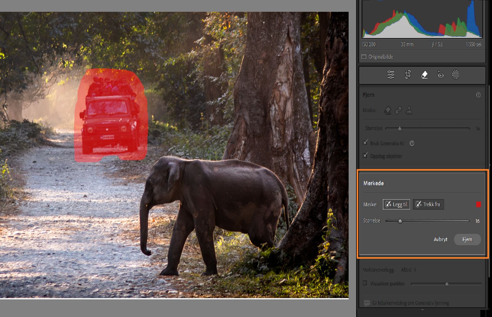 Fremheving av finjustering ved generativ fjerning