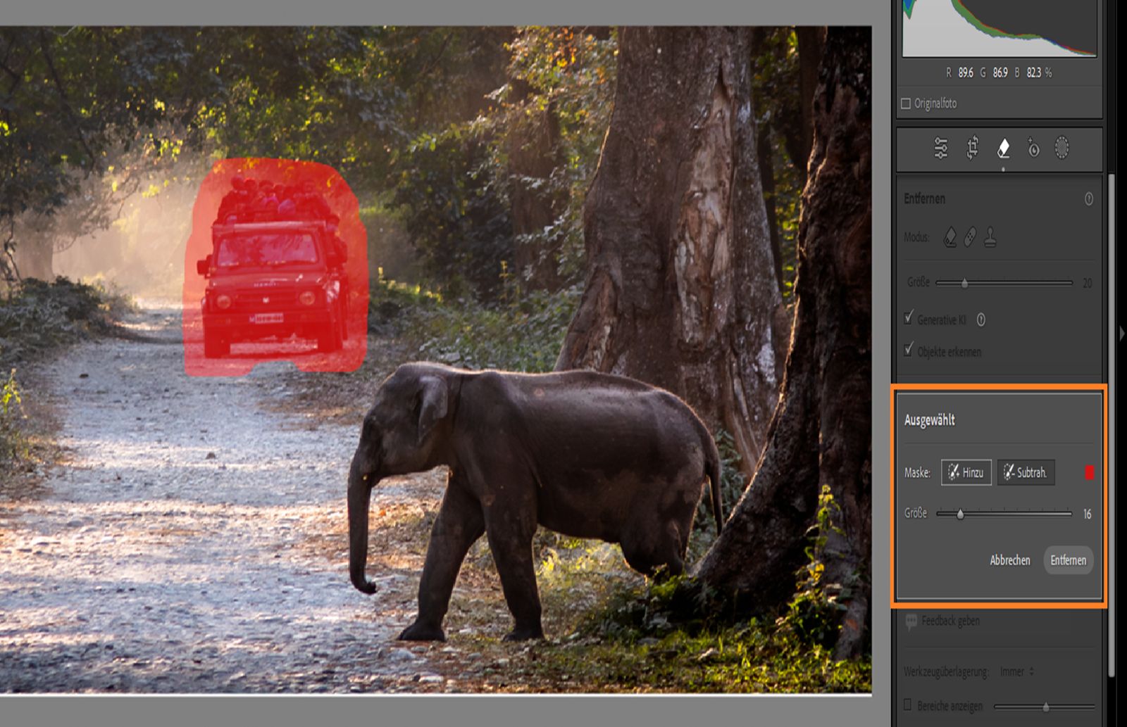 Hervorhebung der Verfeinerung des generativen Entfernens